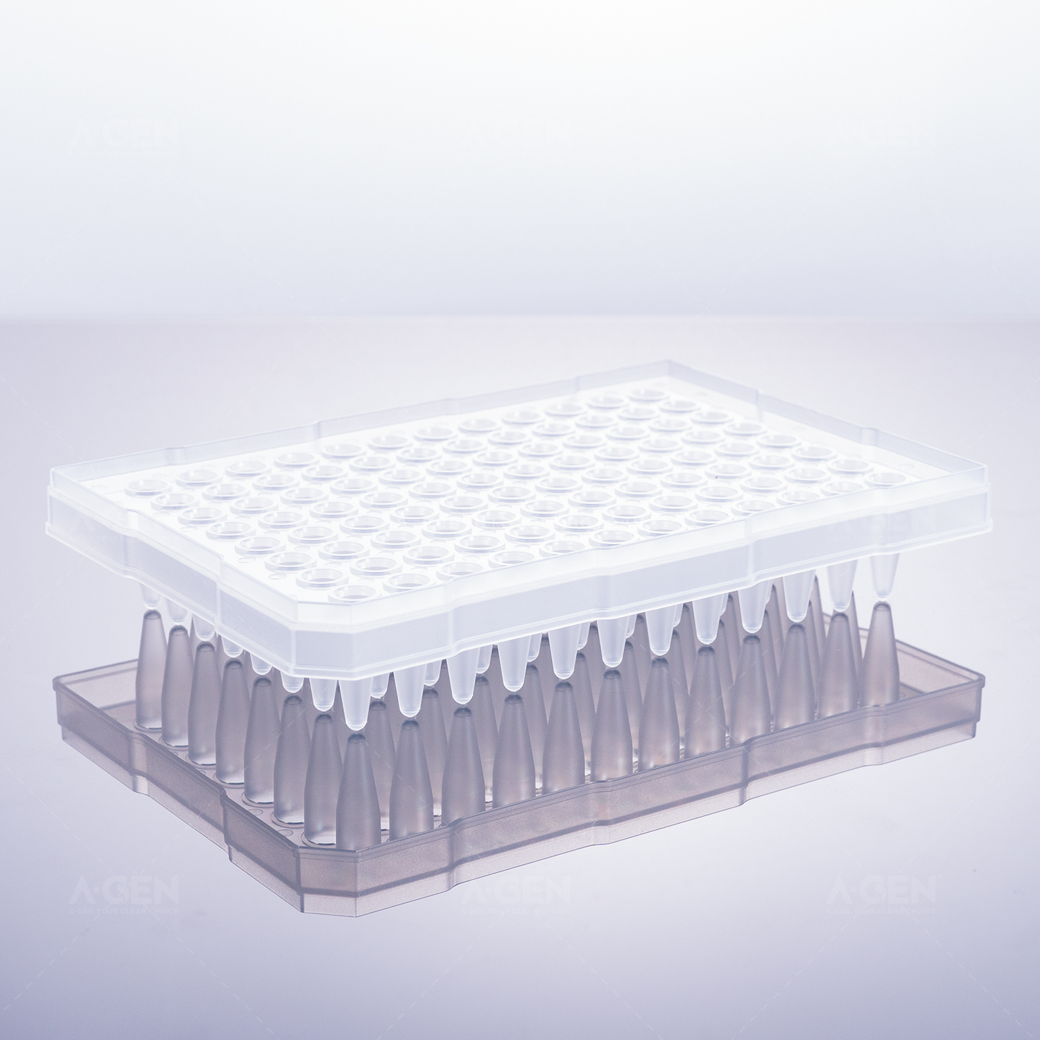 200μL，96孔PCR板，半裙边，标记清晰，磨砂外壳