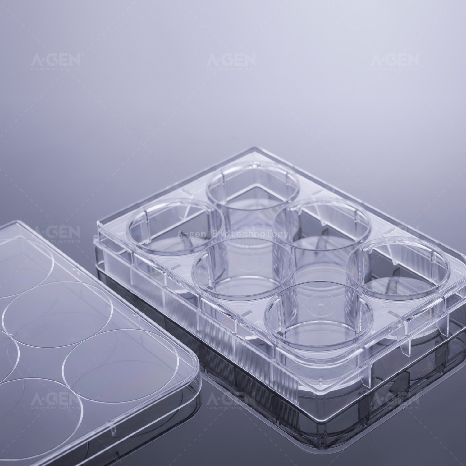 6孔透明板，透明盖，TC处理无菌，吸塑盒装