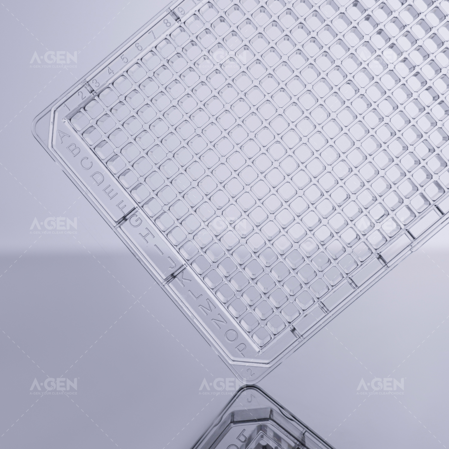 384孔透明底透明板 透明盖 TC处理 灭菌 吸塑盒装